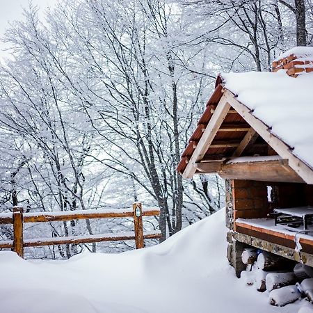 Holiday Home Floris Копаоник Екстериор снимка